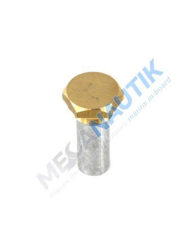 Anode complète  15031230T