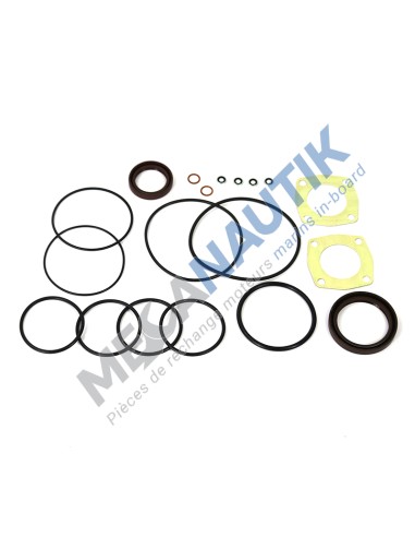 Gasket kit, injection pump driven bearing 8/12M26  15559520X