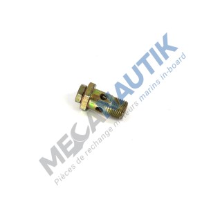 Fuel non return valve