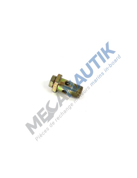 Clapet anti-retour pompe d'alimentation transfert gasoil