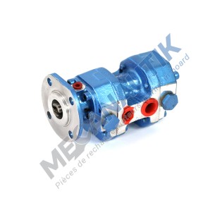 Twin fuel feed pump