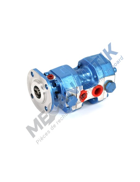 Twin fuel feed pump