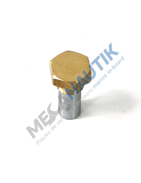Complete anode