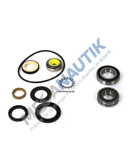 Repair kit, seawater pump