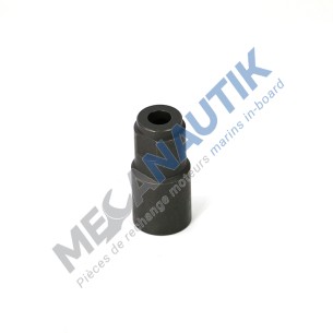 Lower nut, injector holder