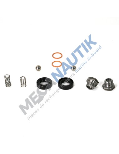 Repair kit, fuel feed pump  13055870N