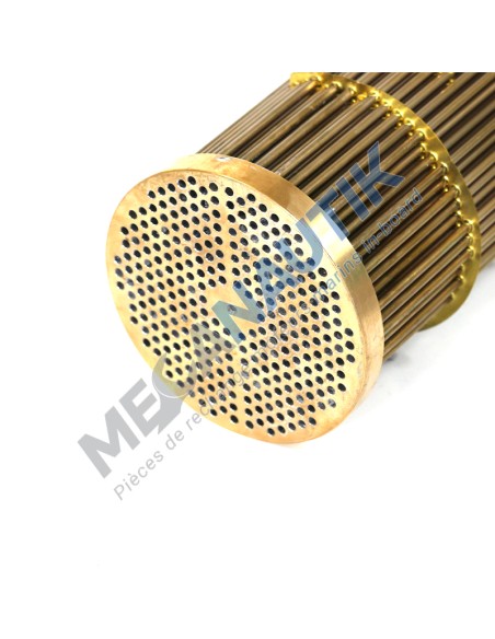 Cooler core, water exchanger