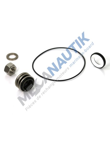 Sealing kit, sea water pump F&P new type  15539770E