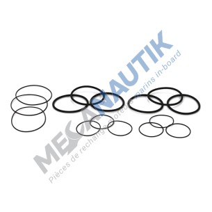 Kit joints collecteur admission 8/12M26.2