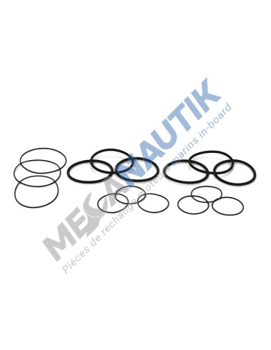 Gasket kit, air intake manifold 8/12M26.2  15580140K