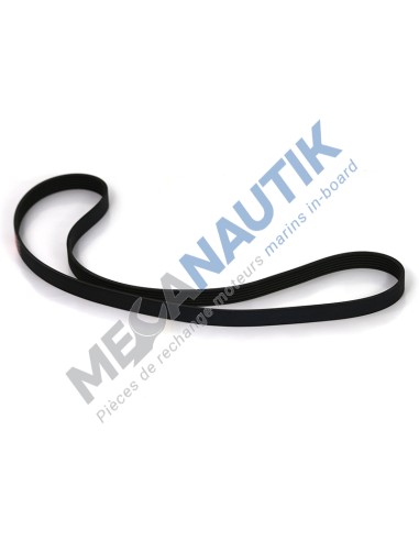 Belt  16230793R & 77705891A & 1001127554