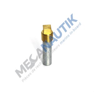 Anode de zinc avec bouchon 1/2" CAT