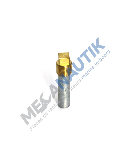 Anode de zinc avec bouchon 1/2" CAT