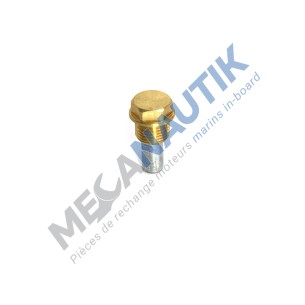 Anode de zinc avec bouchon M16 NANNI
