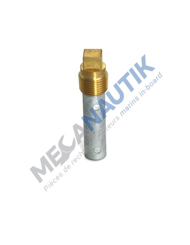 Anode de zinc avec bouchon 1/2" Detroit Diesel  8517479