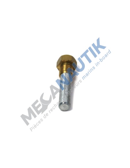 Anodo de zinc completo con tapon 7/16" CAT