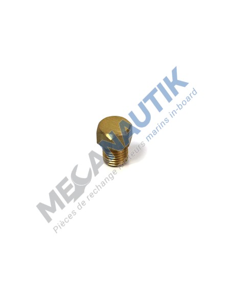 Anode plug 1/4" CAT