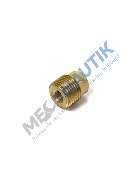 Anode plug 1/2" CAT