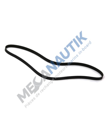 Correa bomba de agua de mar