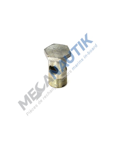 Hollow screw