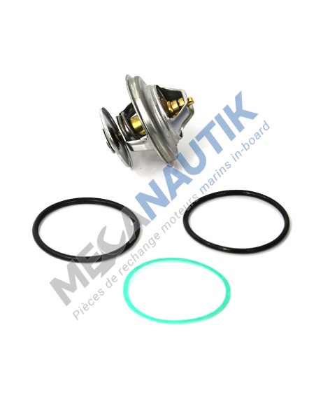 Thermostat Kit