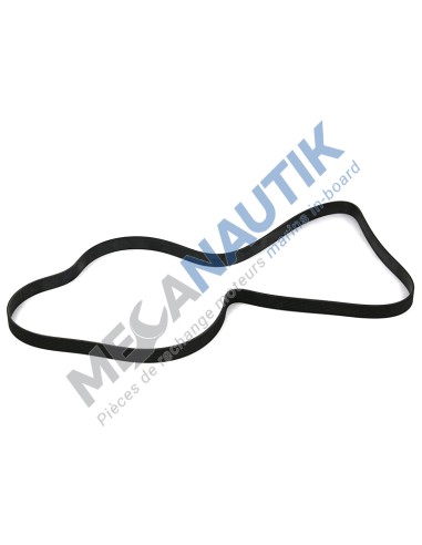 Poly-V belt L 2015 mm  1531238 & 1389061