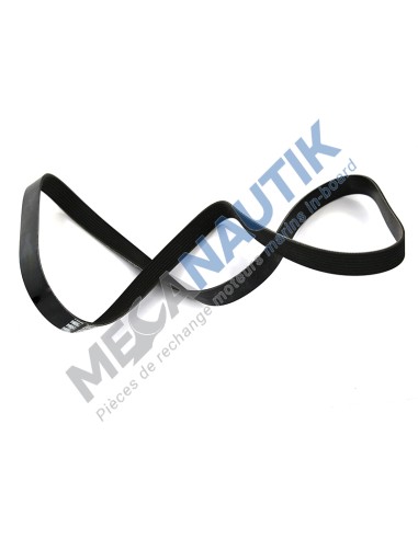 Poly-V belt L 1985 mm  1454280 & 1389028