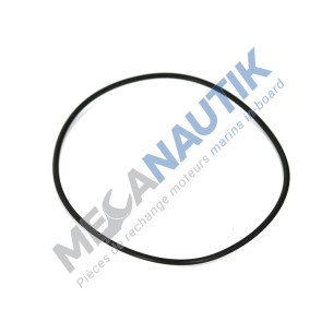 O ring, sea water pump flange
