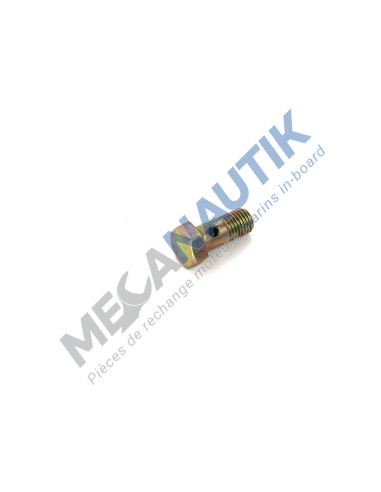 Hollow screw  17146