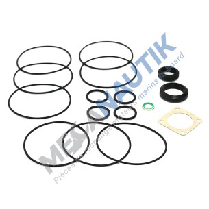 Major gasket kit, water exchanger DSI9M