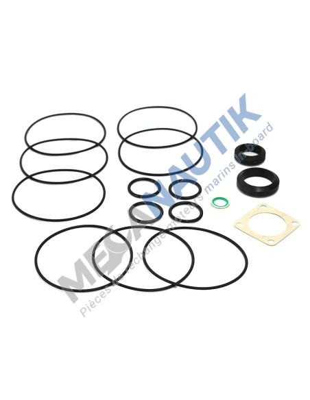 Major gasket kit, water exchanger DSI9M