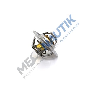 Thermostat basse température, charge air cooler