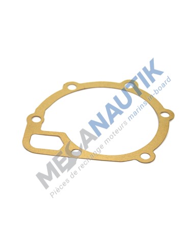 Gasket, coolant pump housing  231795 & 131236