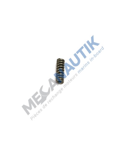 Spring, injector  374480