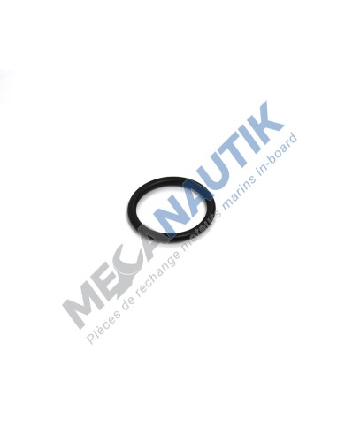 O ring, thermostat outlet tube  381083